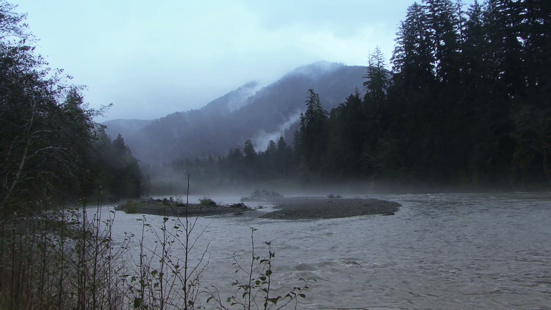 A time-lapse, mist-covered river winding through a lush forest with a fog-shrouded mountain in the background, creating a serene and tranquil landscape.