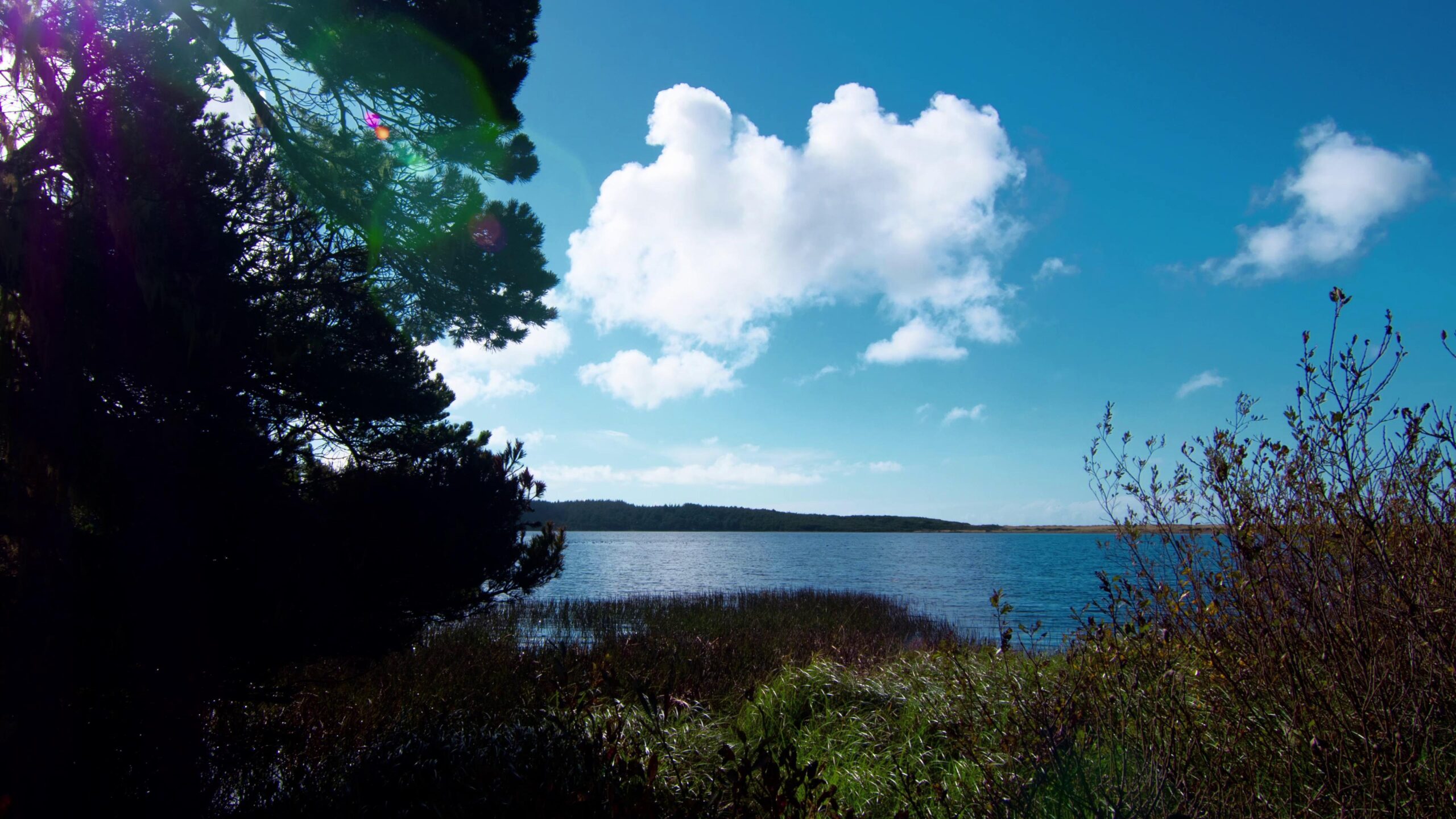 4K video time-lapse of peaceful lake surrounded by foliage under shifting skies.