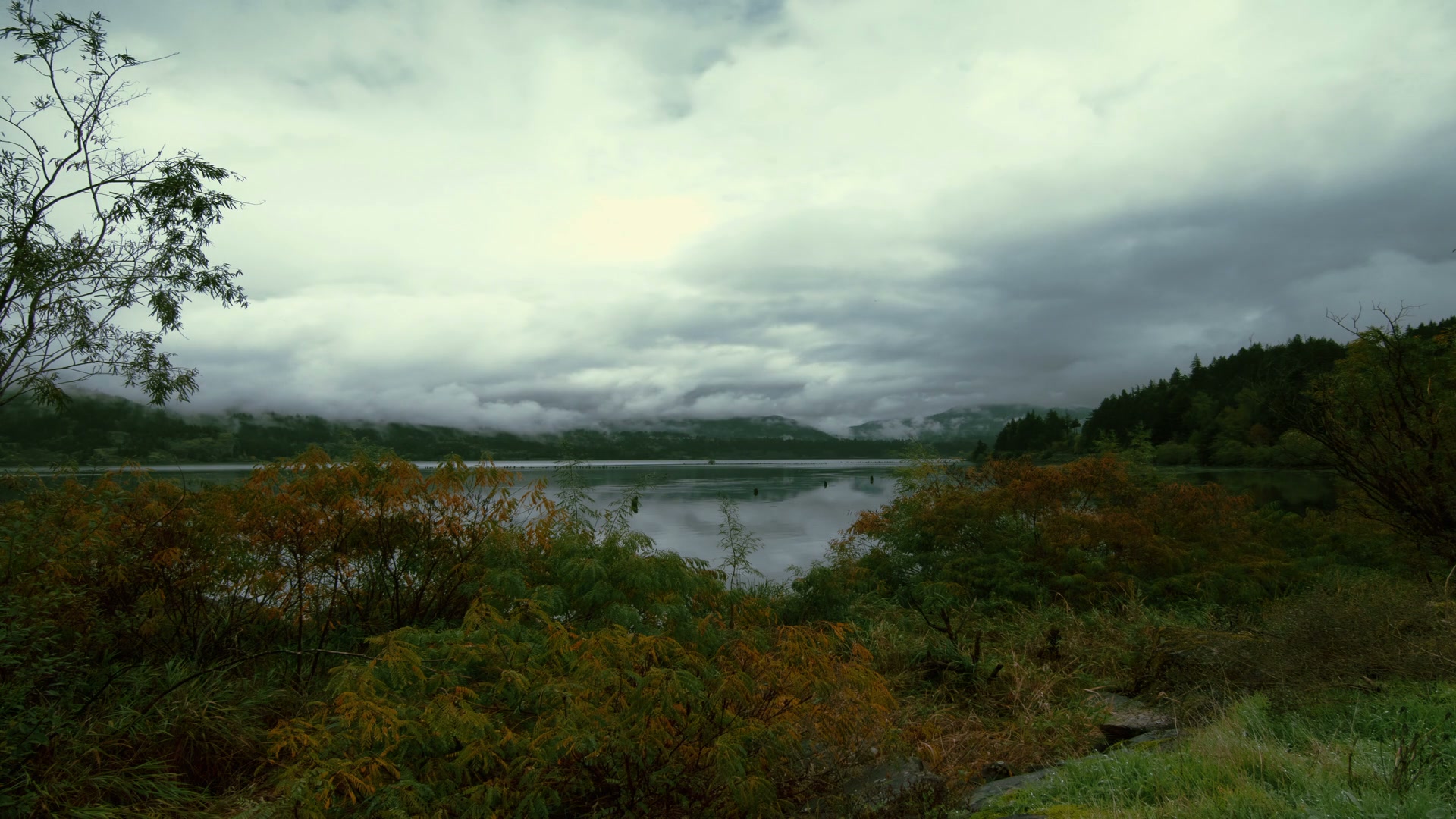 A peaceful video of a misty lake surrounded by autumn foliage and dense forests under an overcast time-lapse sky, reflecting tranquil natural beauty.