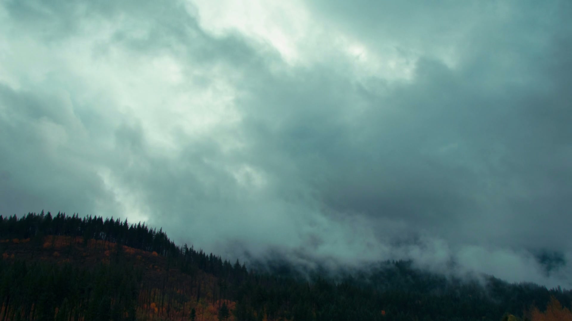 A misty forest under dark time-lapse storm clouds with silhouetted trees.