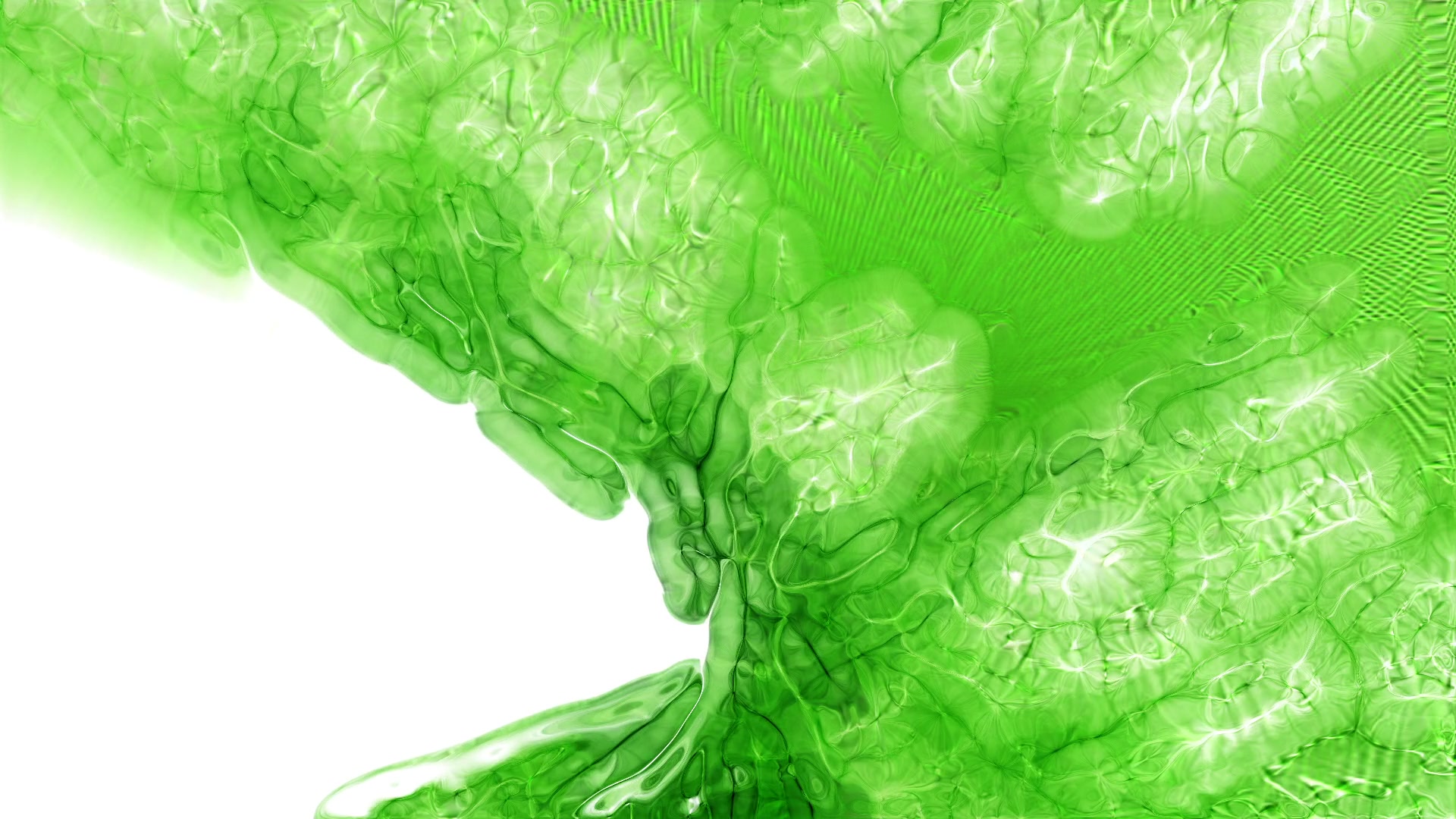 An abstract green video loop featuring swirling patterns and bright highlights, creating a vibrant and dynamic visual reminiscent of organic textures and flowing fluids.
