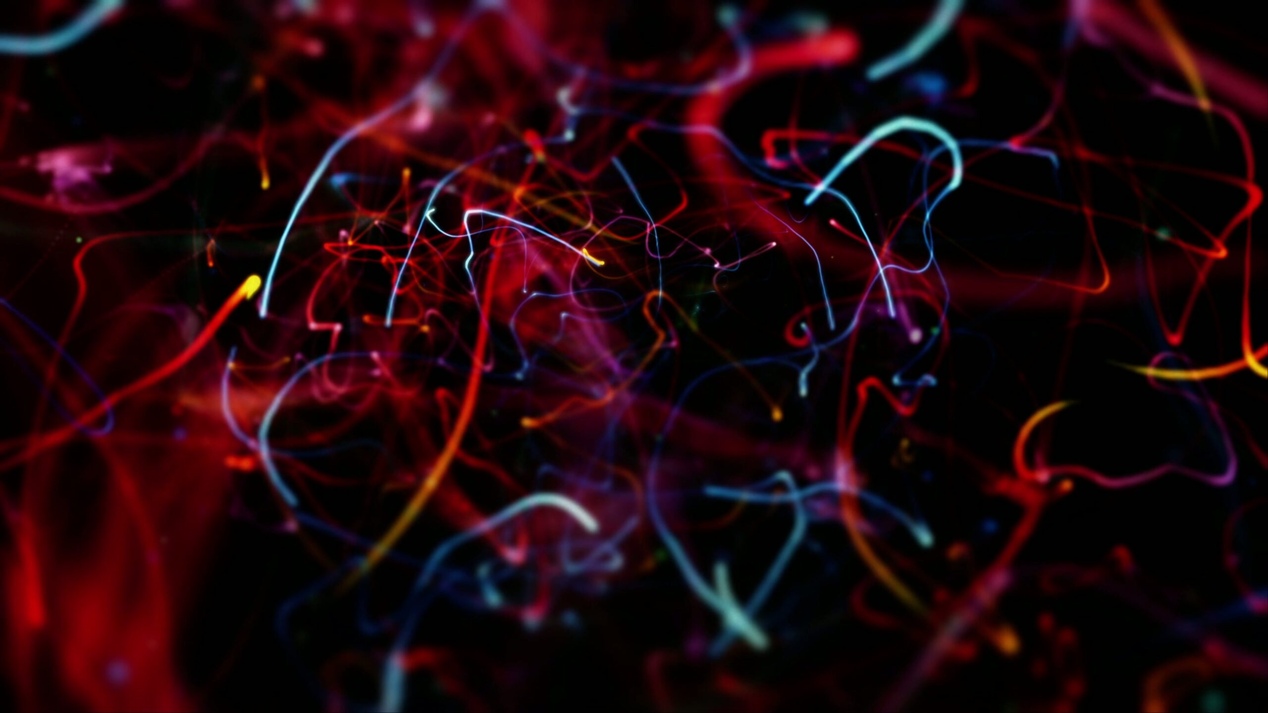 A vibrant display of colorful abstract light trails swirling against a dark background.