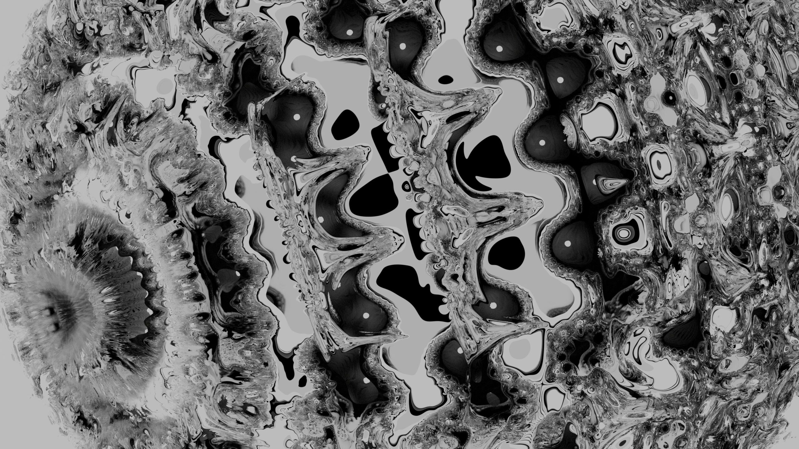 Black-and-white swirling fractal animations with flowing contours and contrasting shadows.