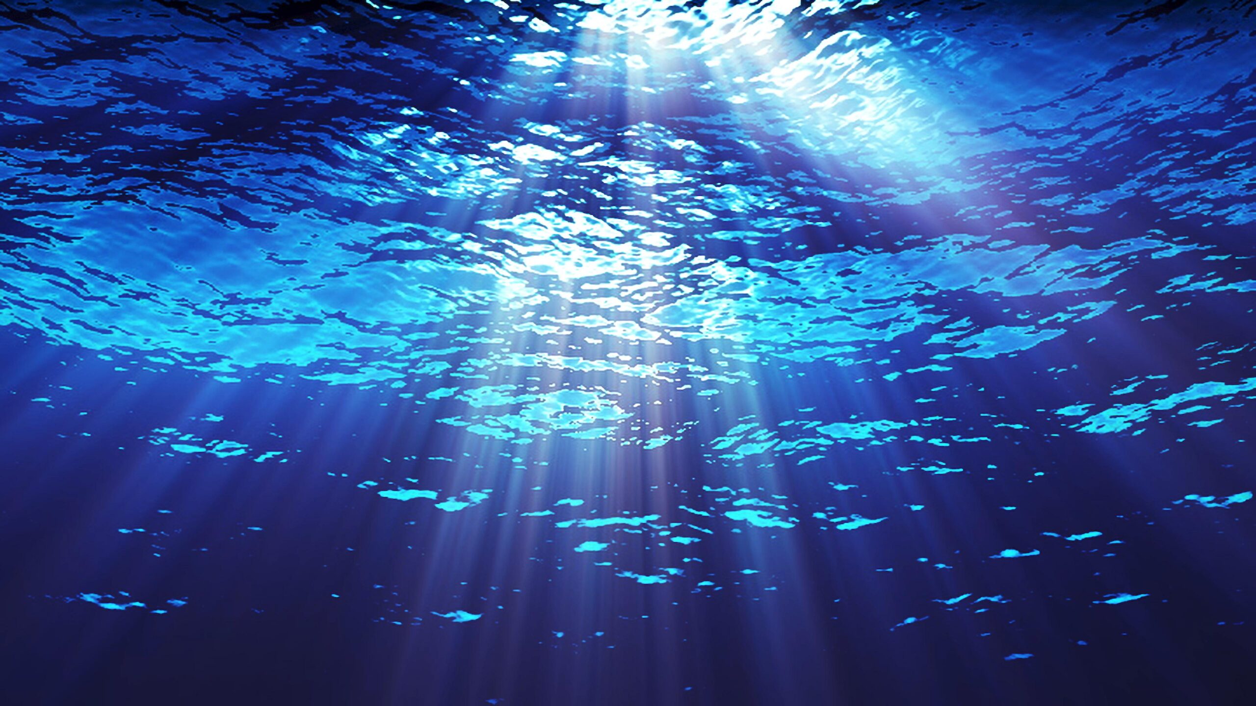 4K video loop of underwater sunrays illuminating ocean waters.
