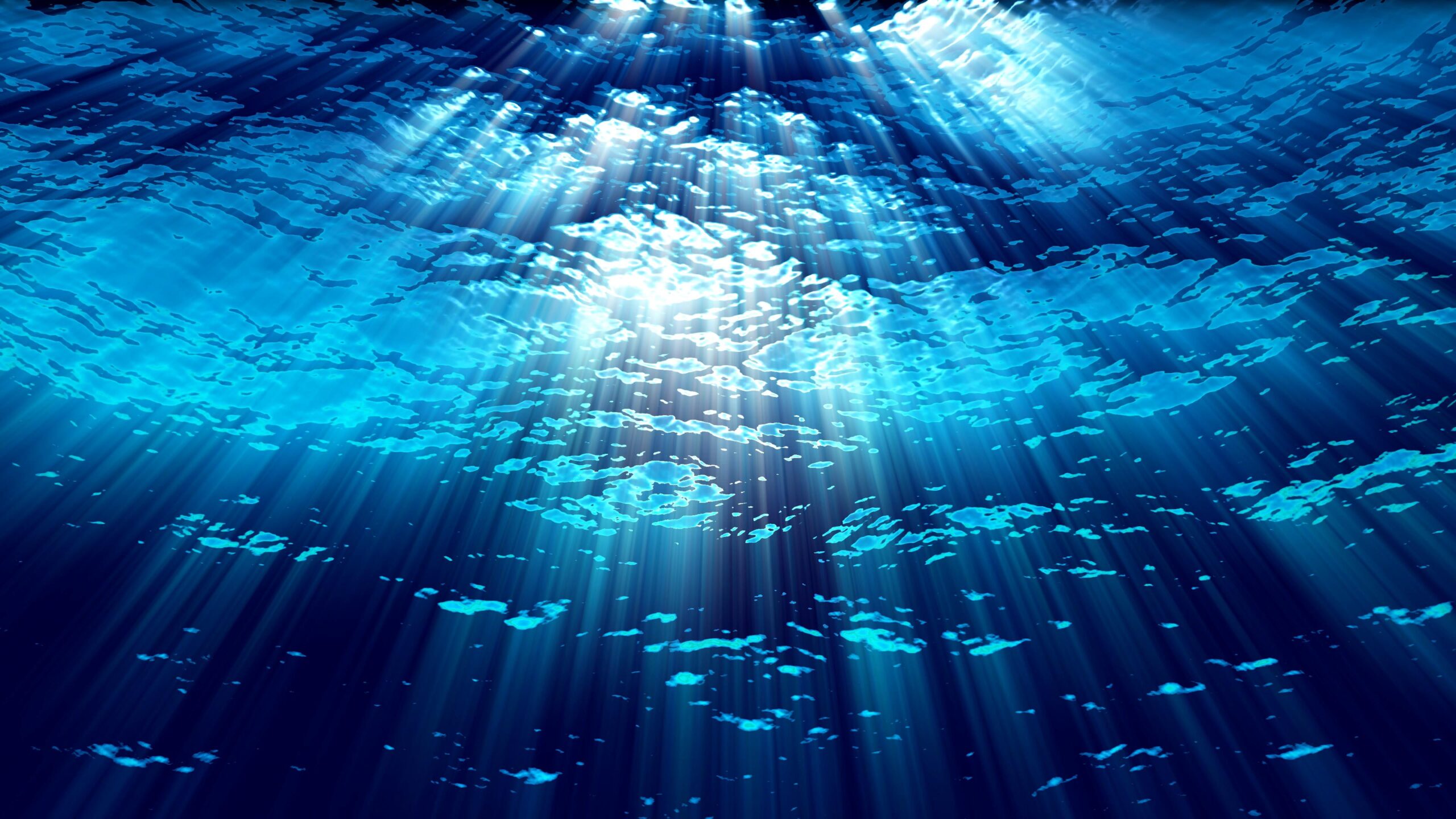 4K looping video of an underwater scene with flickering sunlight beams.