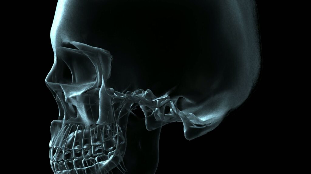 A video loop of a rotating human skull in X-ray style against a dark background, highlighting intricate bone details.