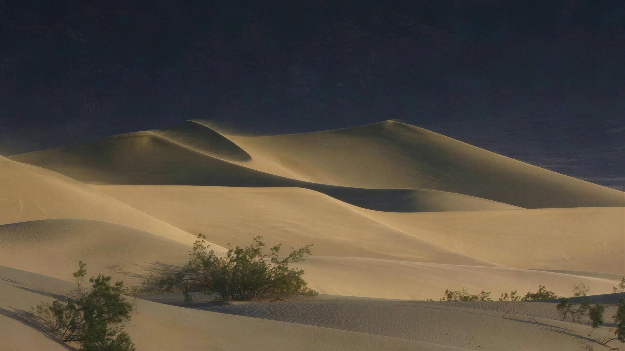 4K Video of golden sand dunes blowing beneath shifting blue skies with sparse vegetation