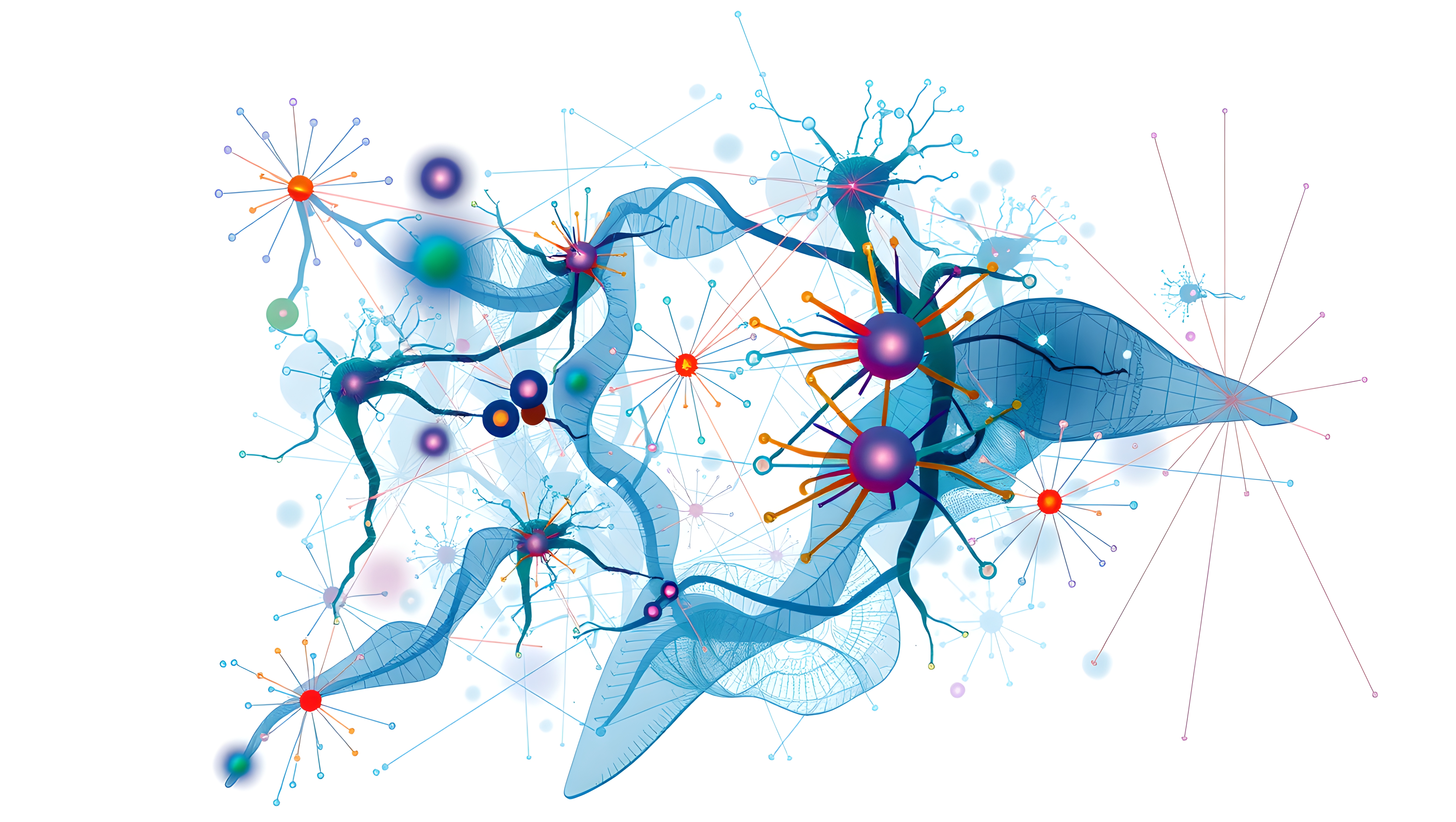 Abstract Network of Connectivity