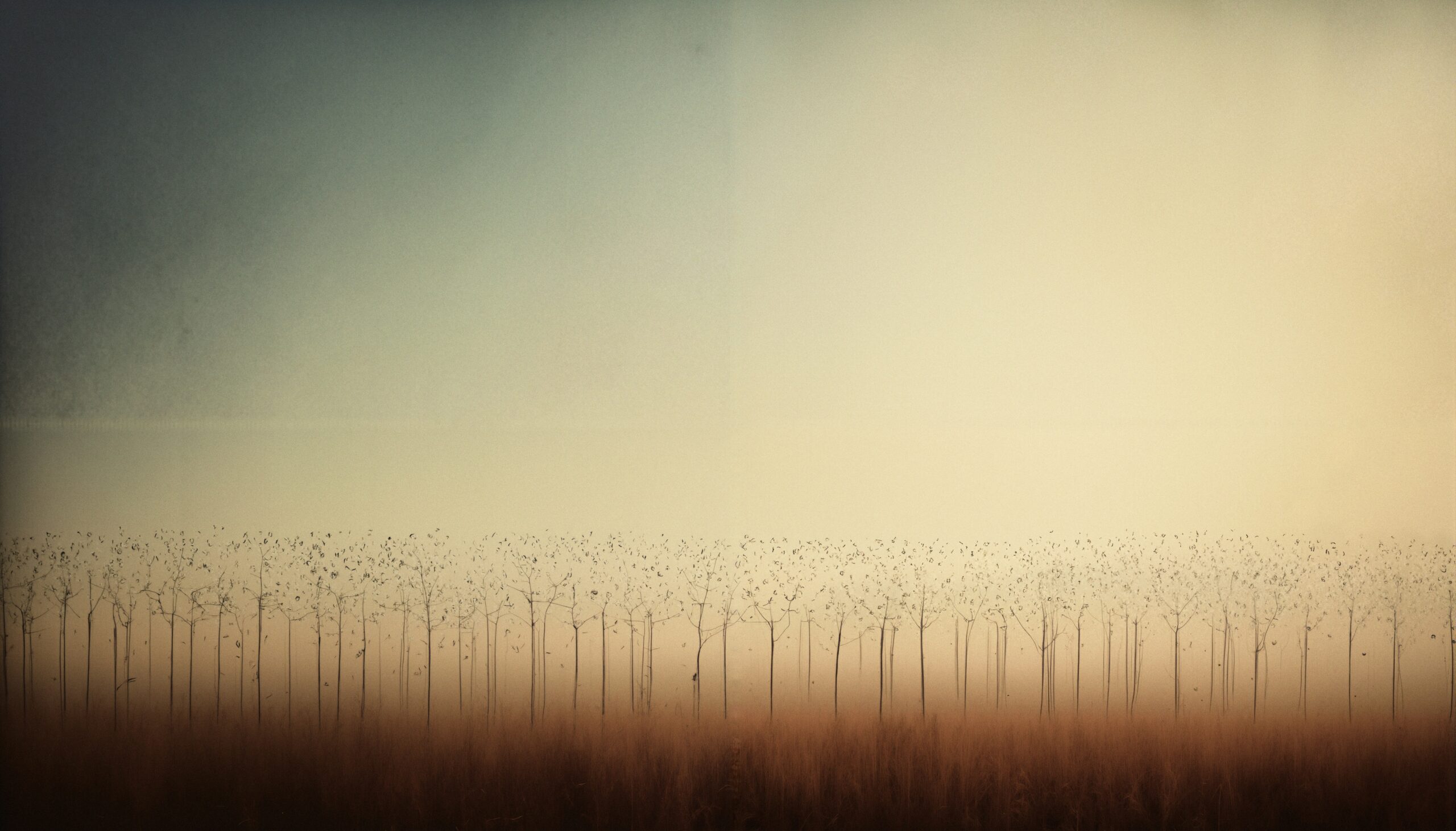 A line of leafless trees with birds perched on branches under a softly hued sky.