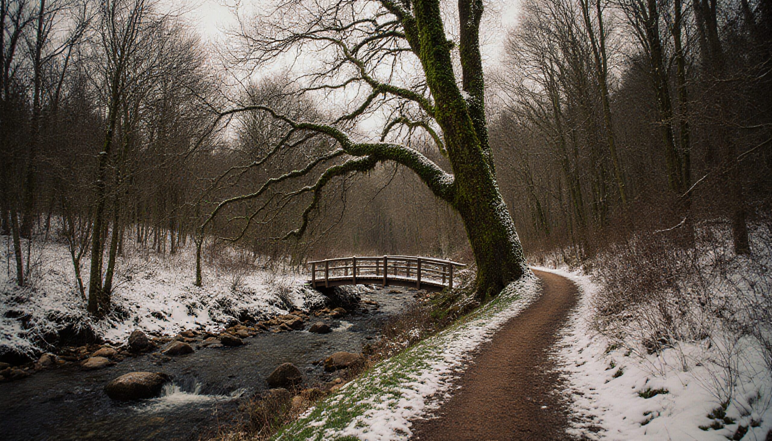Serene winter forest scene with a snow-covered path and wooden bridge over a stream.