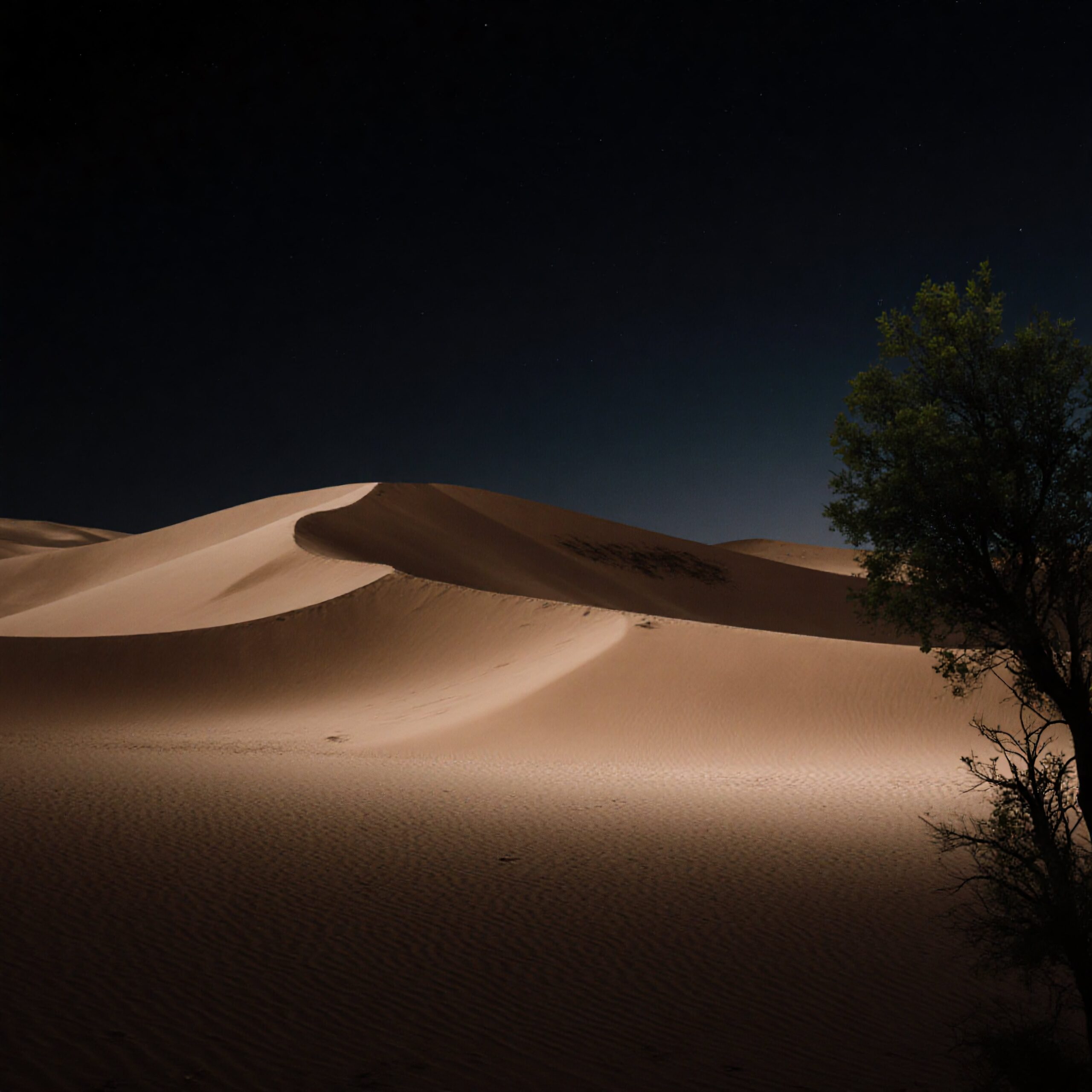 A peaceful desert night scene with sand dunes, stars, and a silhouetted tree.