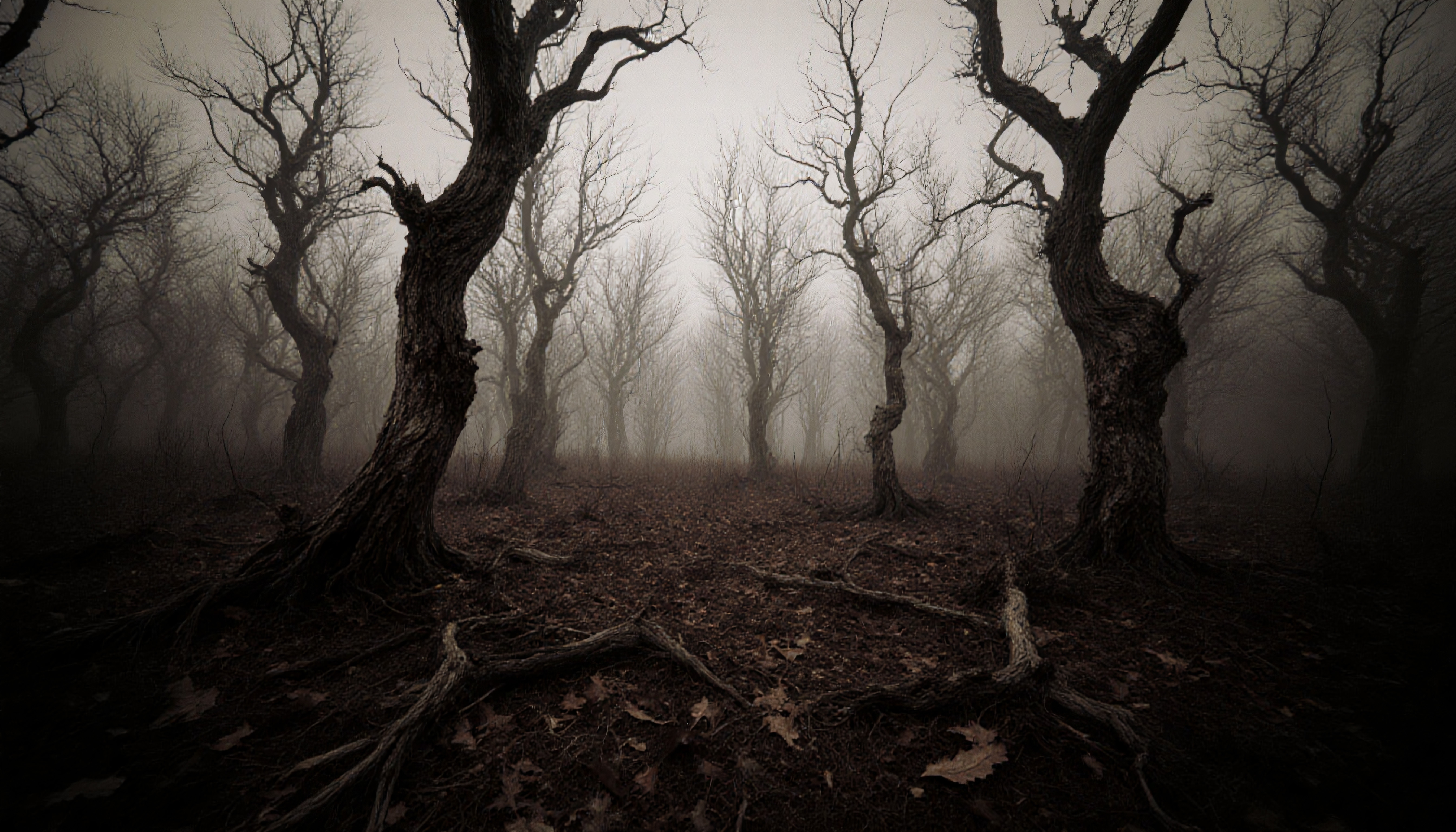 Eerie forest with twisted trees in mysterious fog.