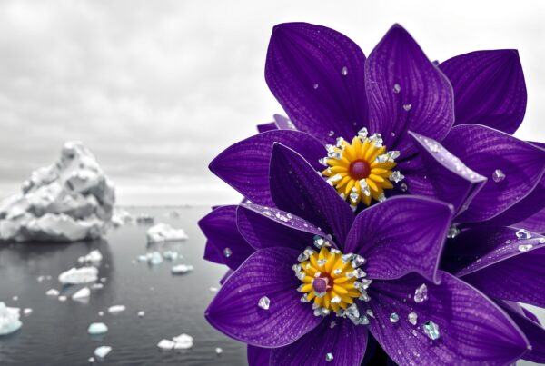Vibrant purple flowers blooming amidst icy water and glacier landscape, dazzling diamonds on petals, surreal winter art