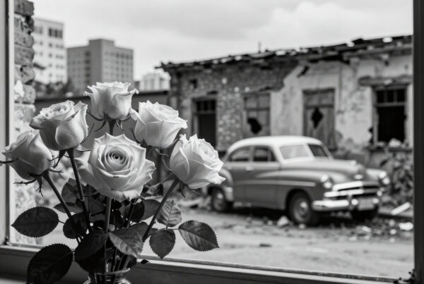 White roses bloom beside decaying city ruins viewed through a window frame.