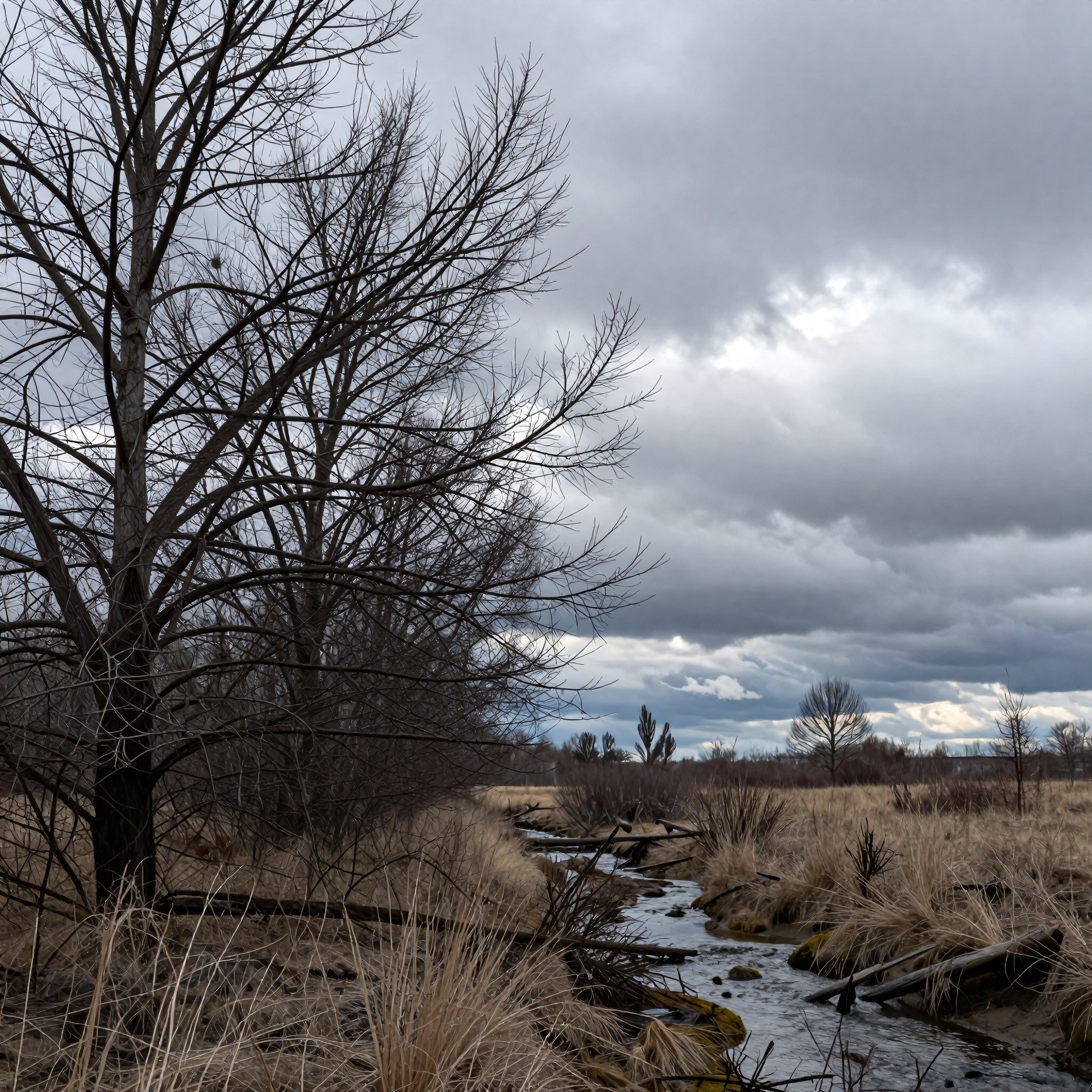A serene winter landscape with bare trees and a winding stream under a moody, clouded sky.