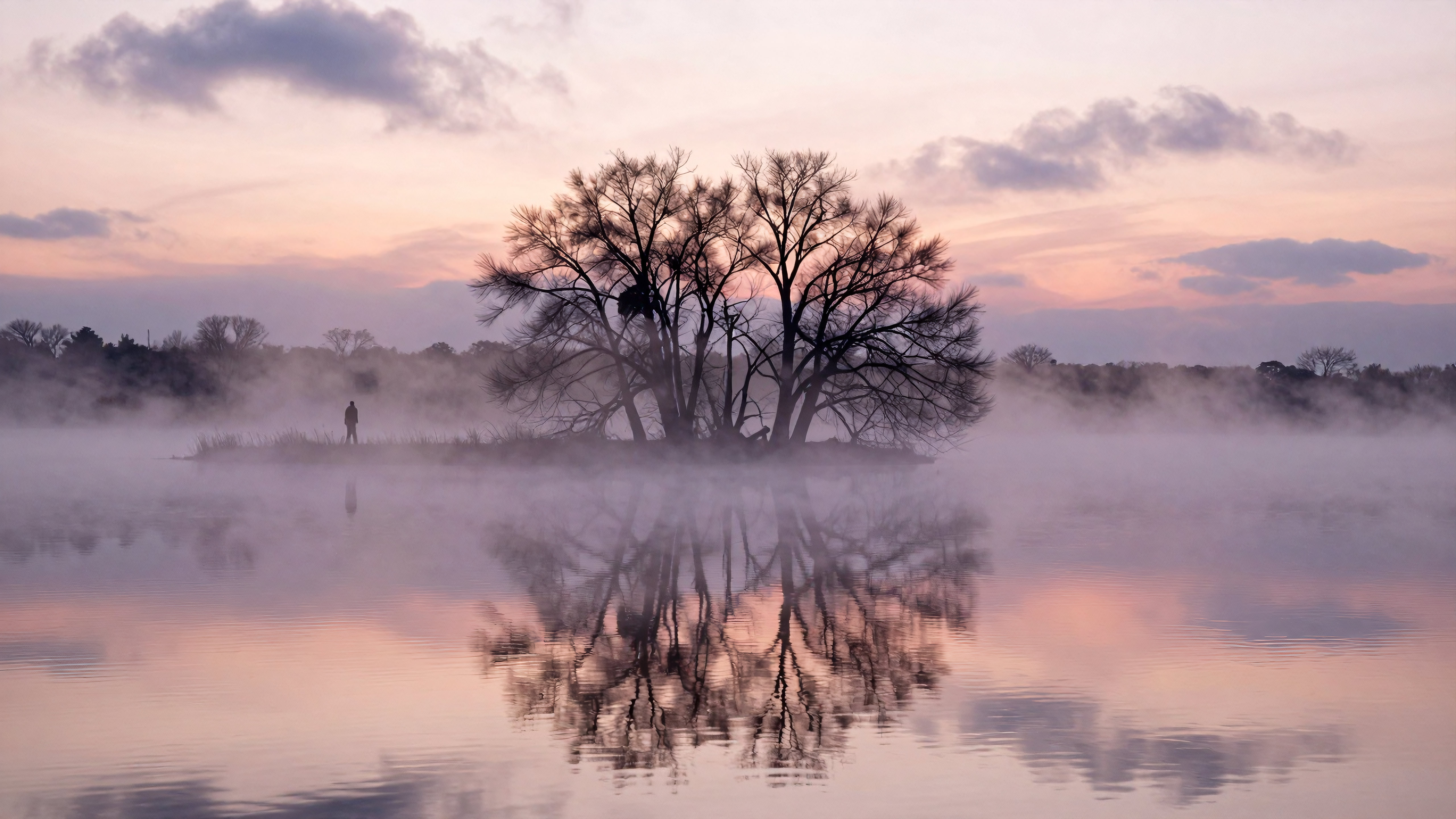 Serene mist-covered lake reflecting bare trees and colorful sky at dawn or dusk