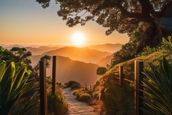 Serene sunset trail through mountainside forest leading to panoramic vista