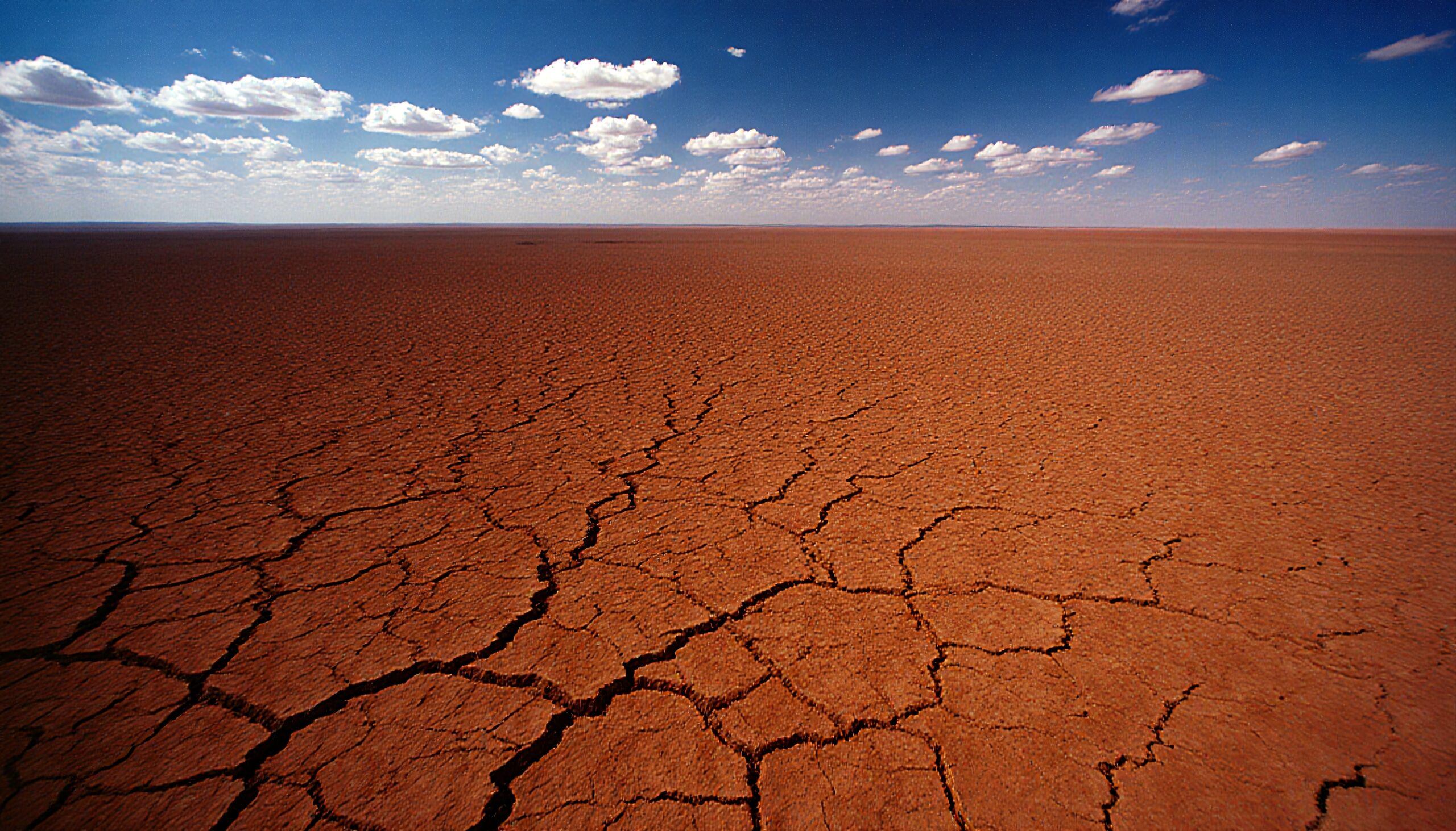Endless Arid Desert Landscape