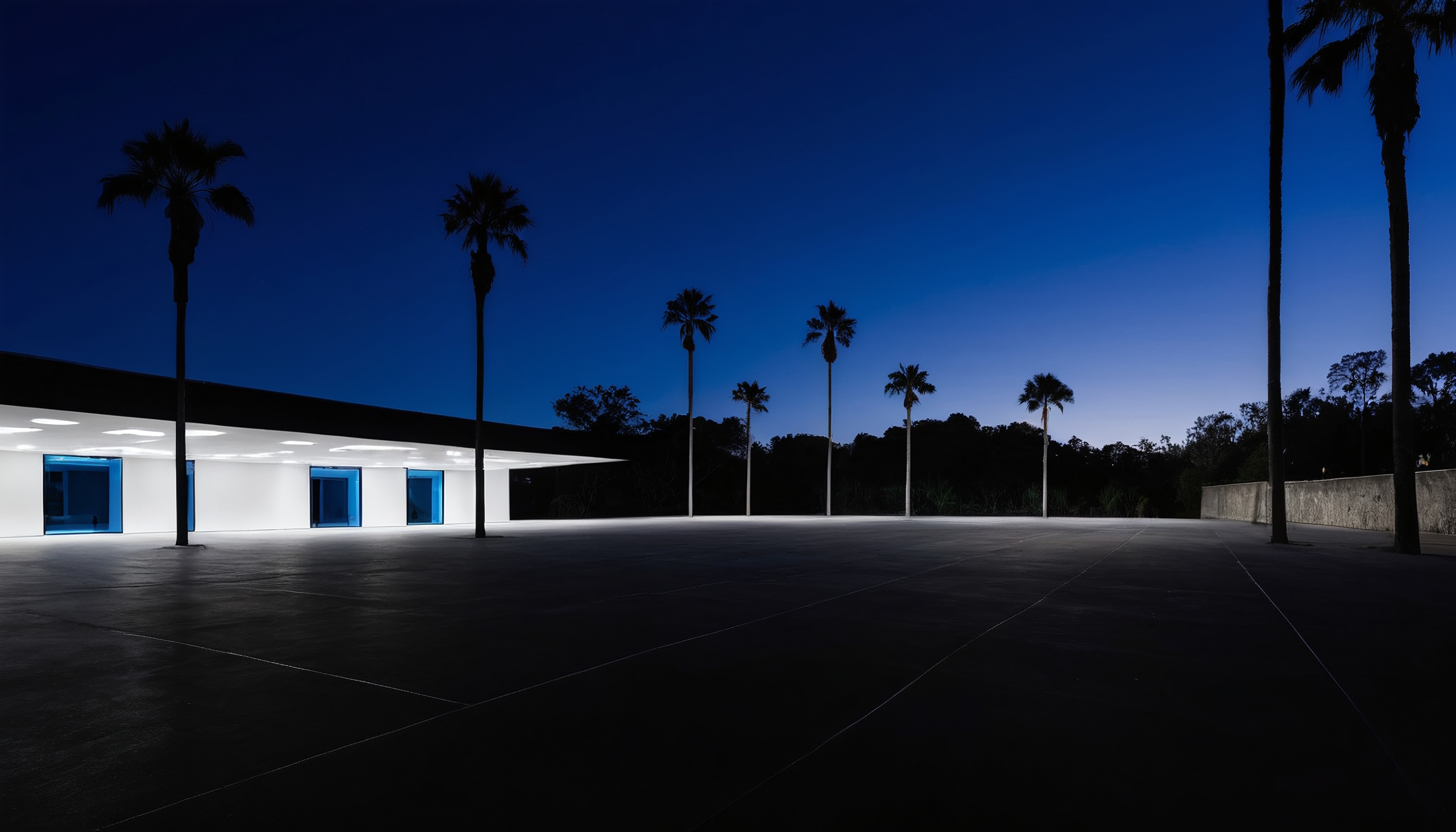 A modern building with palm trees and twilight sky.