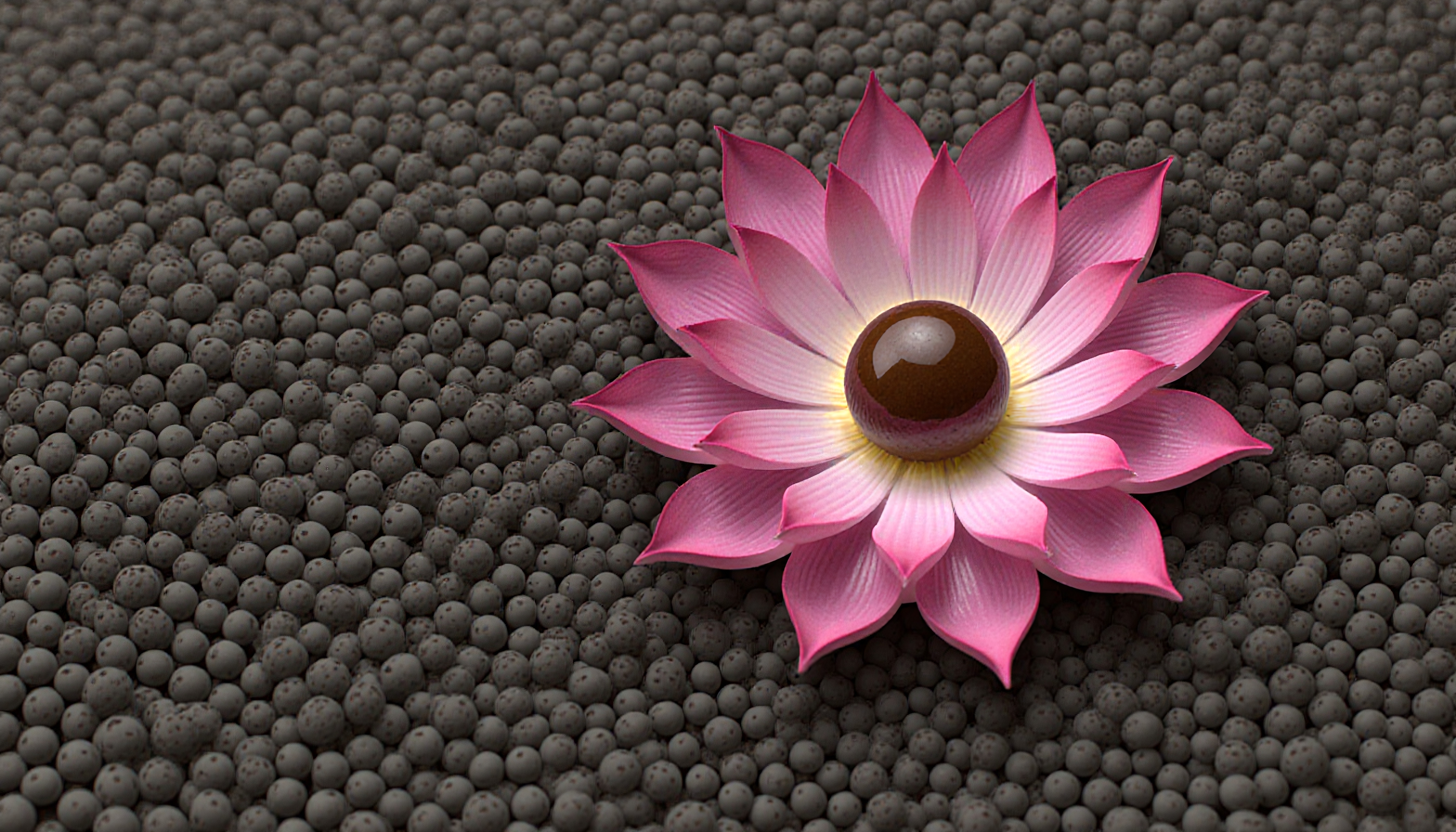 Pink flower with sharp petals resting on a textured gray sphere background.
