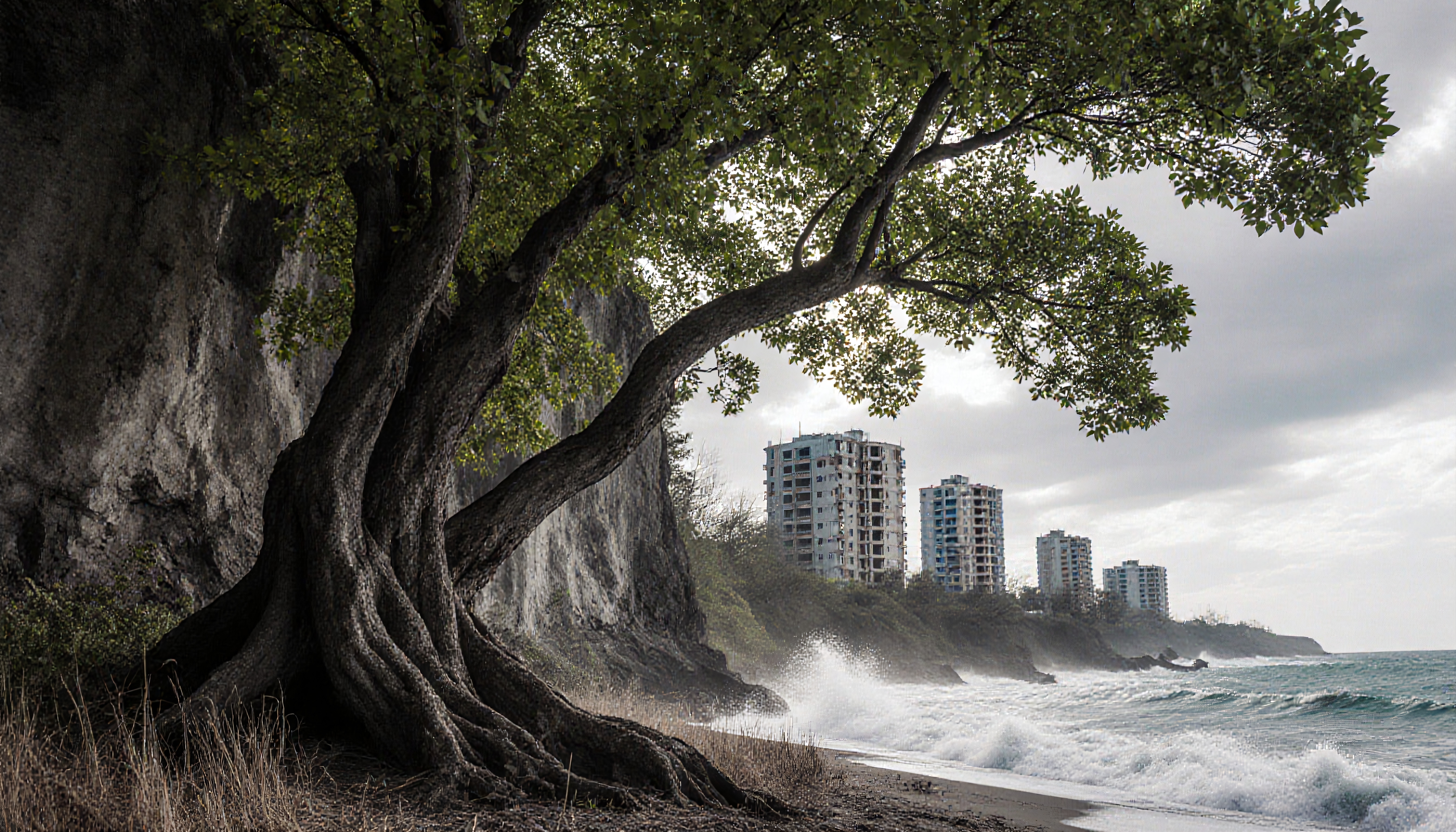 View of a tree-lined coastline with modern buildings in the distance, waves crashing on the shore.