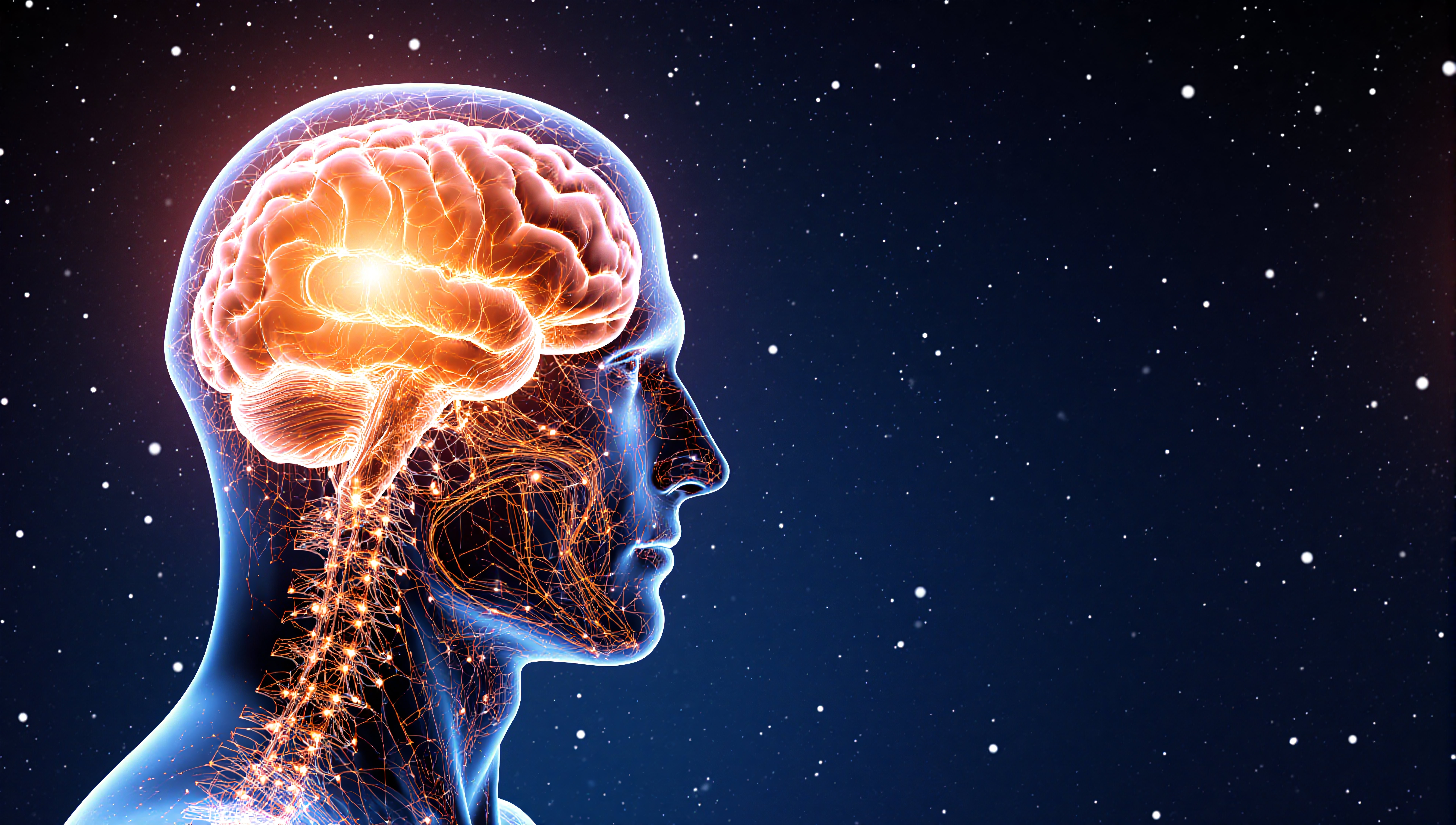 Illustrated human brain with neural network glowing against a starry night background.