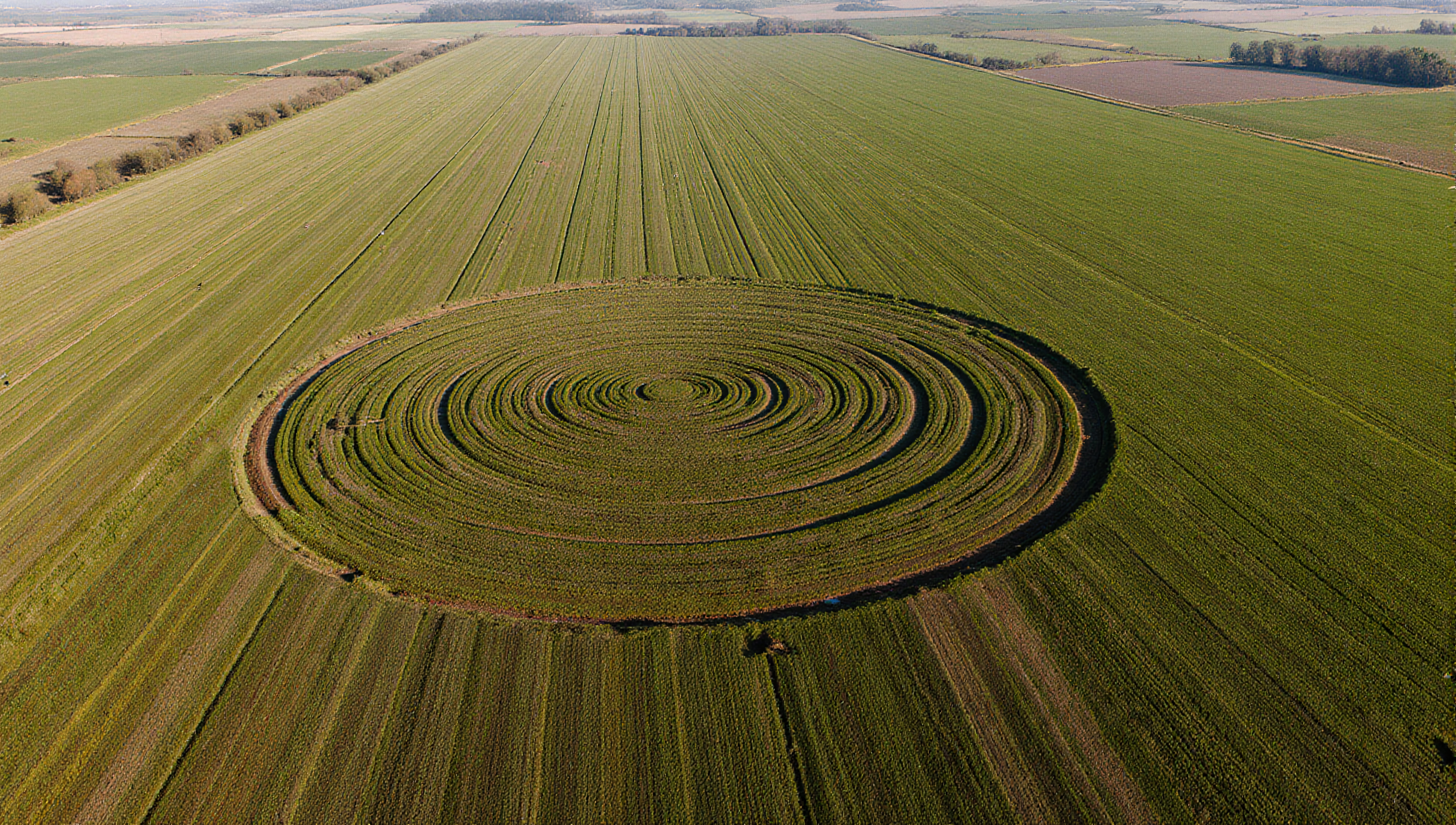 Aerial view of a detailed crop circle in a vast, green field.