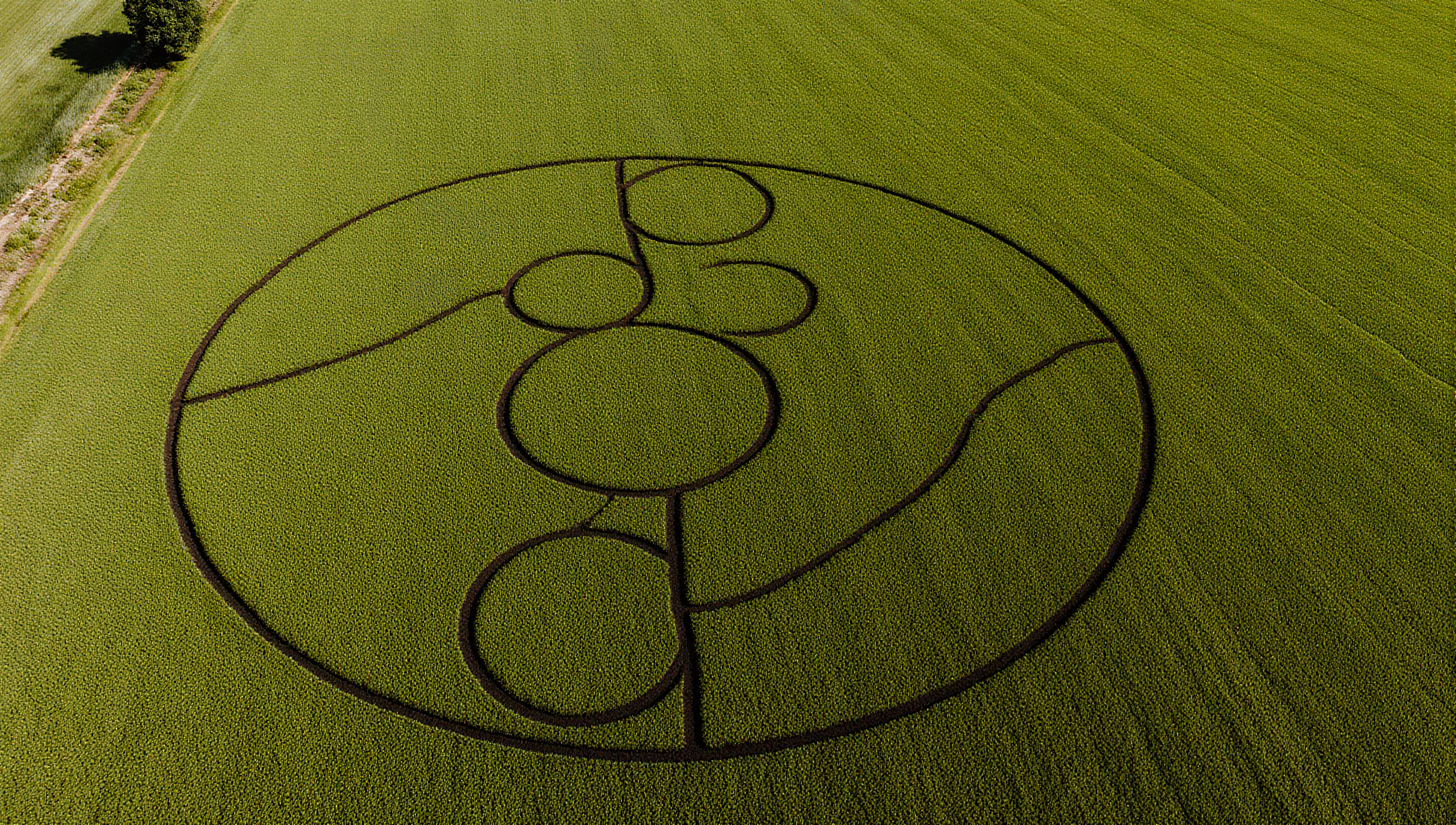 Aerial view of an intricate crop circle design in a lush, green field.