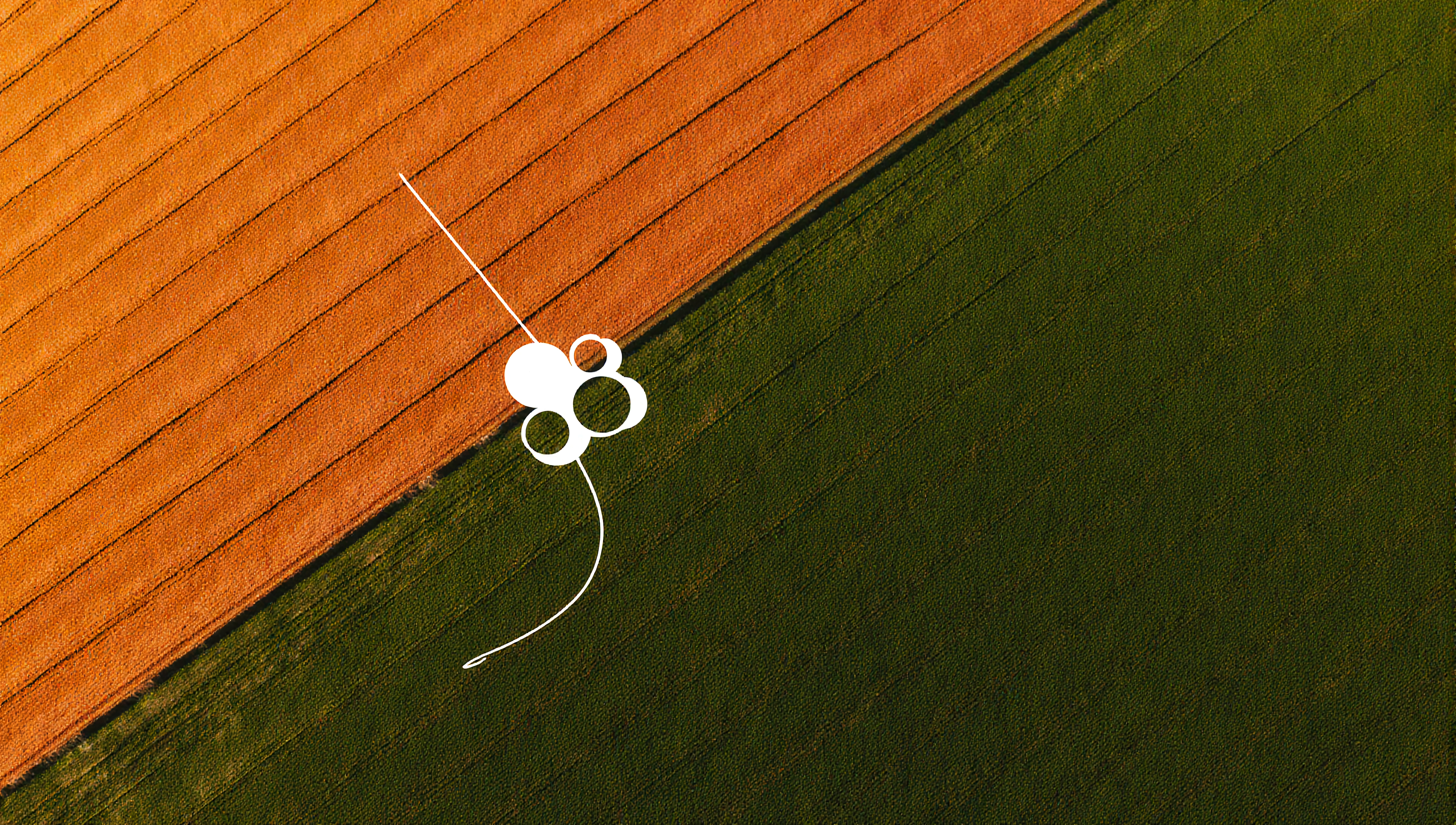 Aerial image showing contrasting orange and green farmlands with white circular design elements.