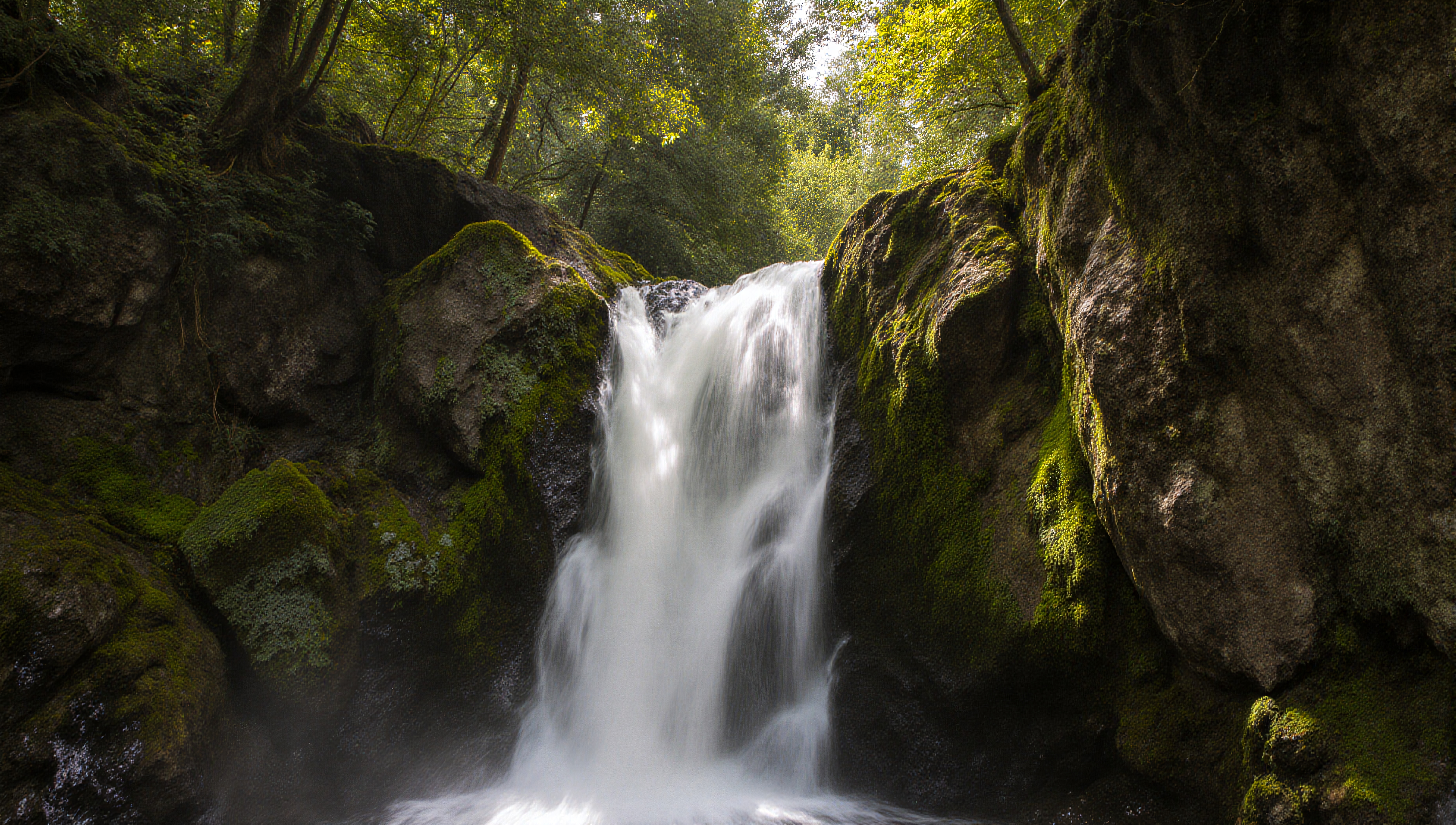 A picturesque waterfall surrounded by lush greenery in a tranquil forest setting.
