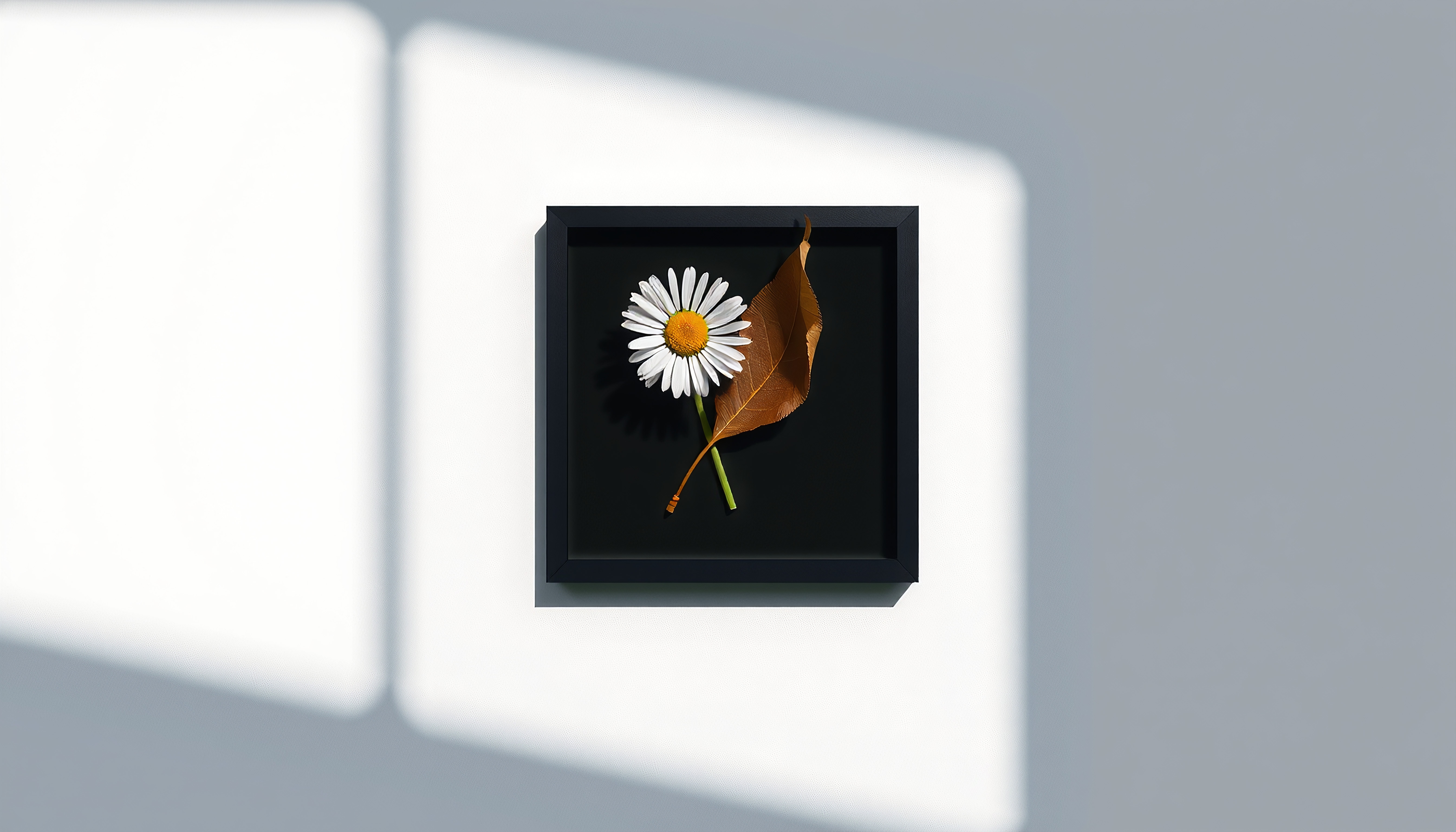A daisy and leaf in minimalistic black frame art.