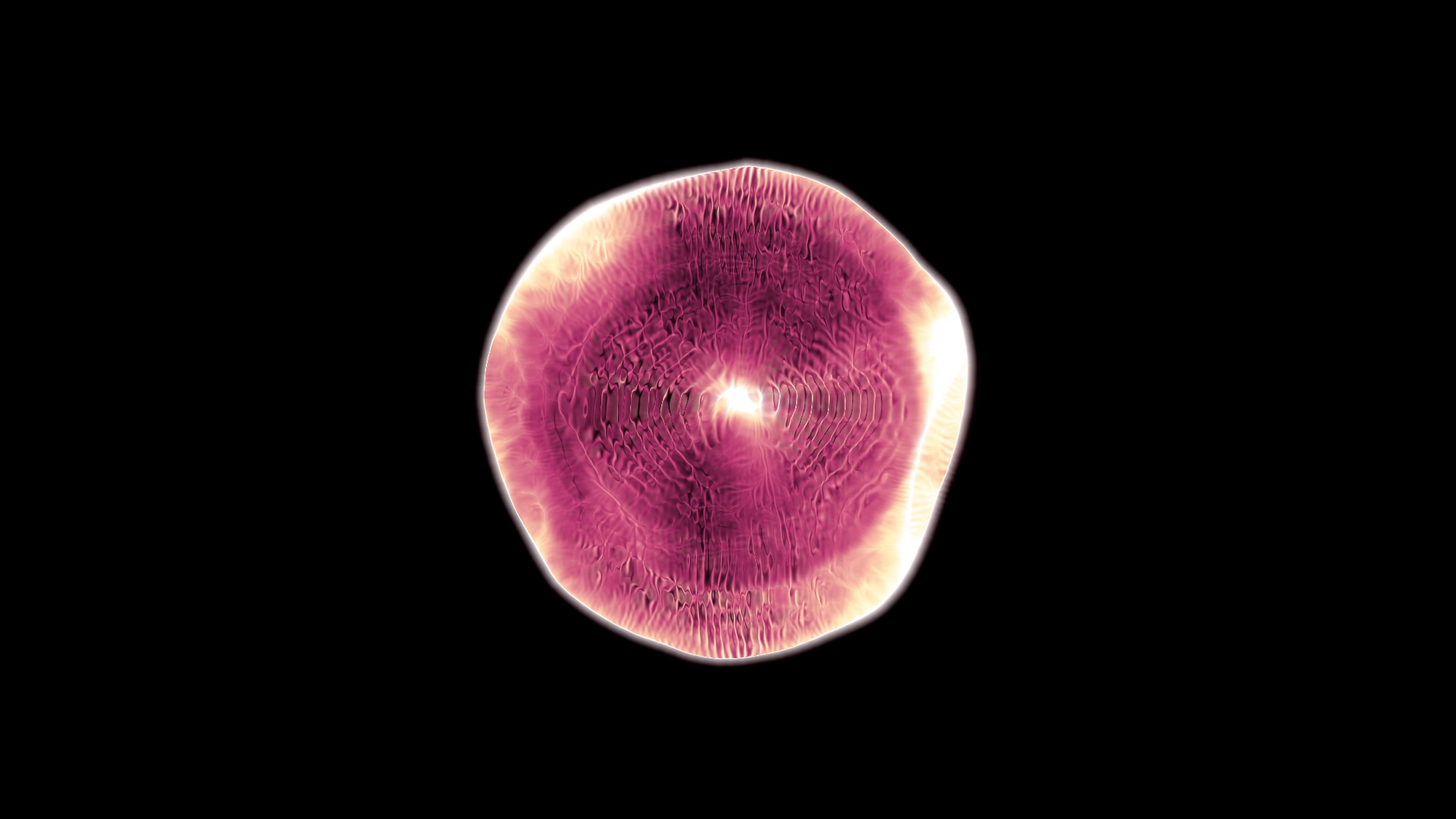 4K video loop of a luminous pink spherical organism with intricate patterns against a black background.