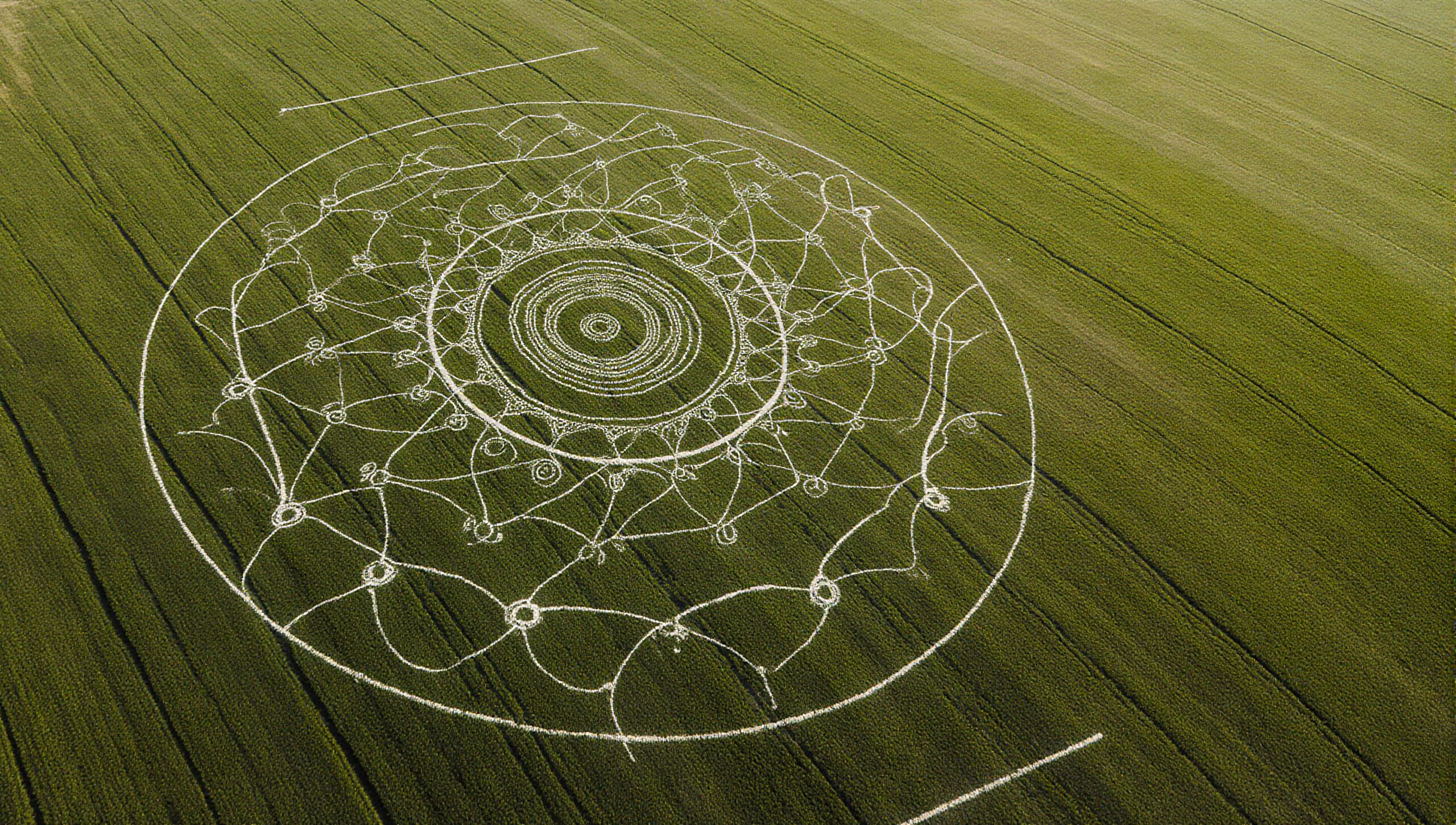 An intricate crop circle design displayed in a vast green field, showcasing symmetry and artistic detail.