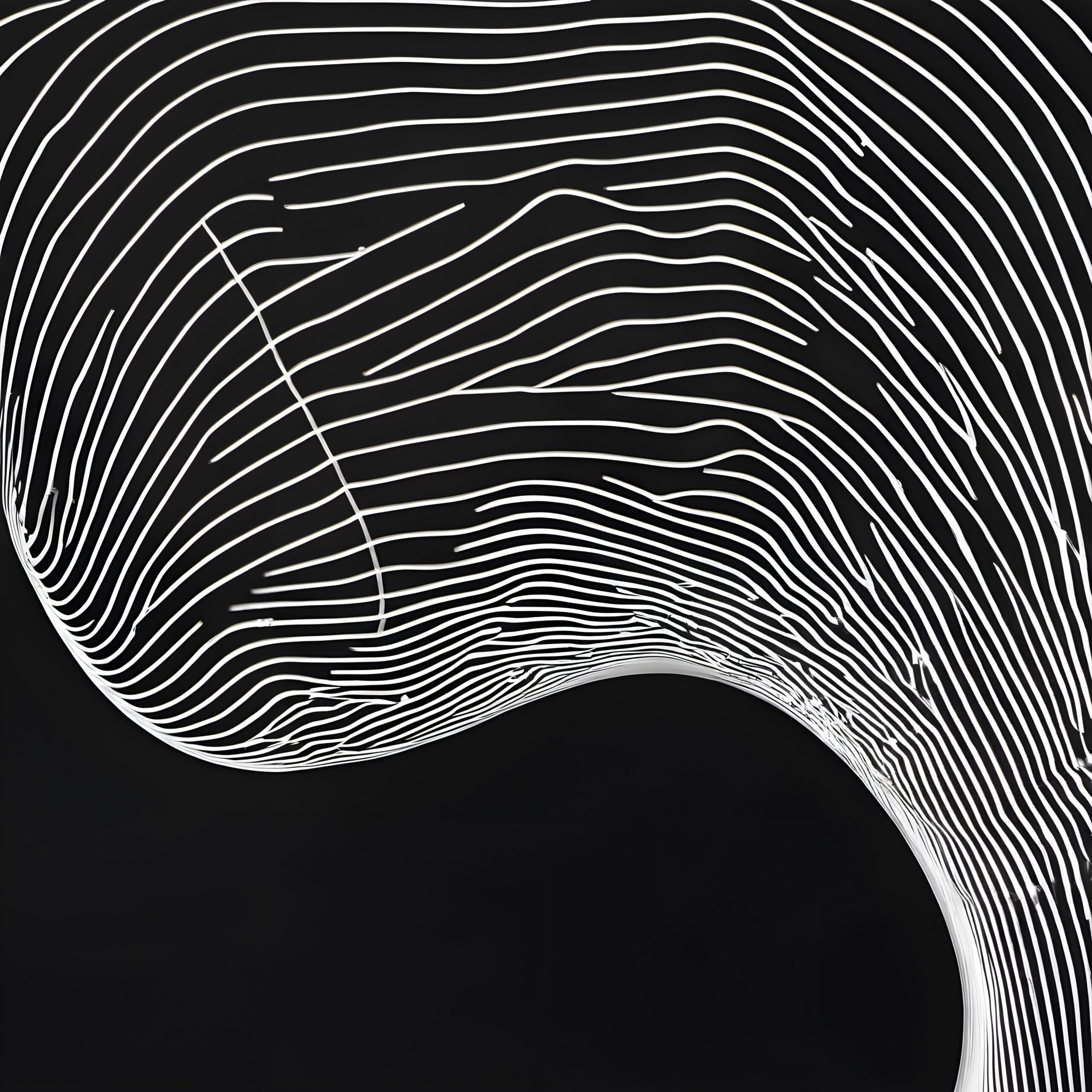 Abstract lines forming a complex, flowing pattern on a black background.